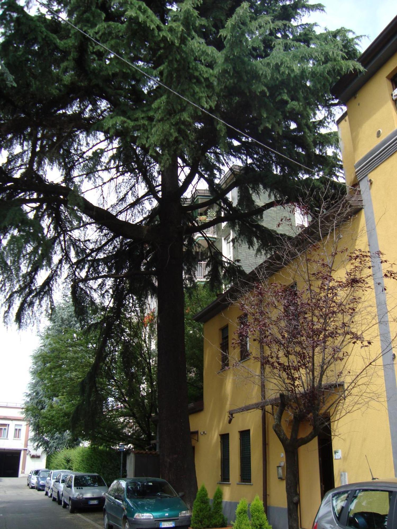 Residence Il Pino Saronno Exterior foto